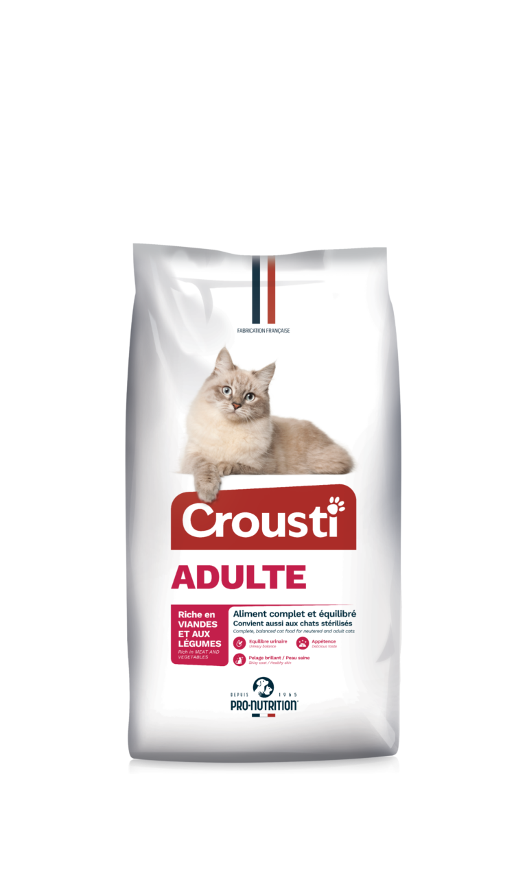 Crousti Adulte