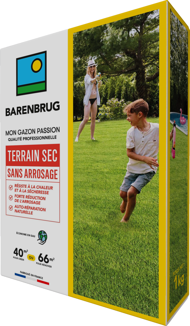 Terrain Sec Sans Arrosage
