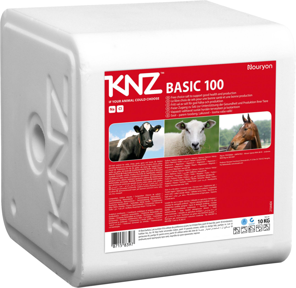 Bloc Sel KNZ 100