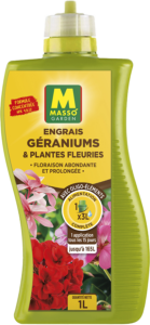 Géranium