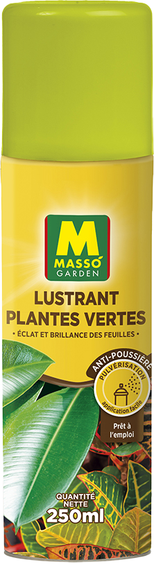 LUST250