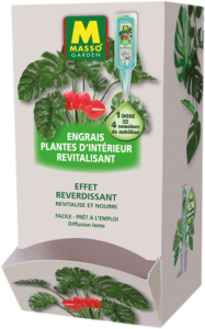Pipettes Plantes Intérieur