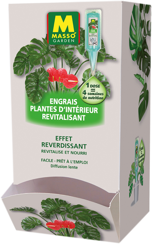 MONVER40