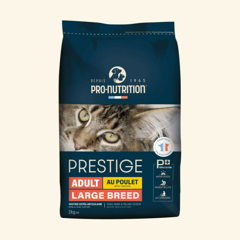 Pres.Large Breed
