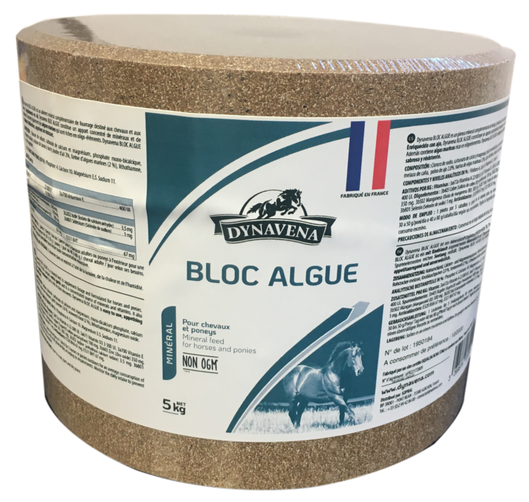 Bloc Algues