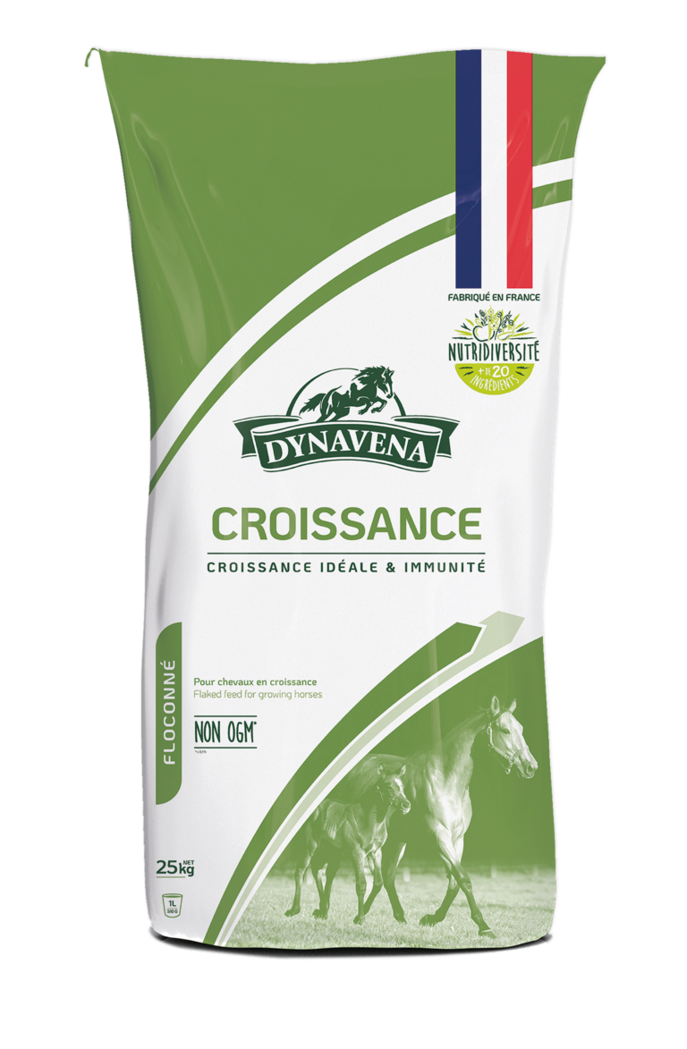 Croissance