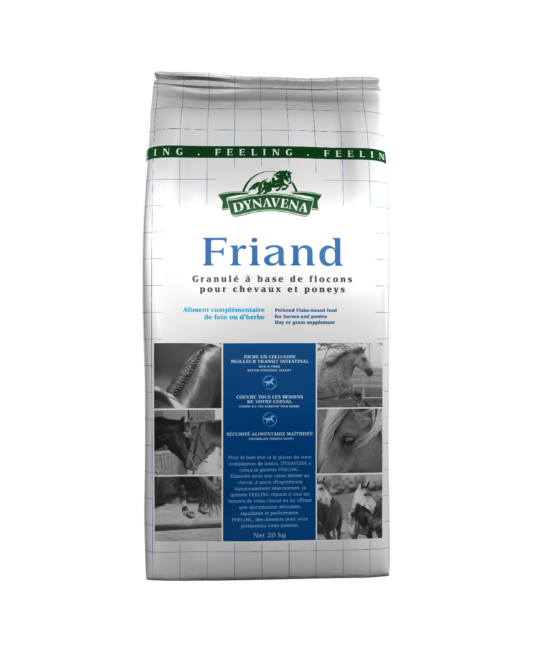 Friand