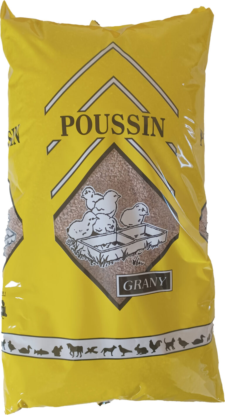 Poussin Miette