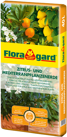 TERFLOAGR40N