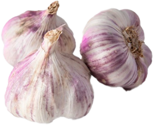 Ail Germidour