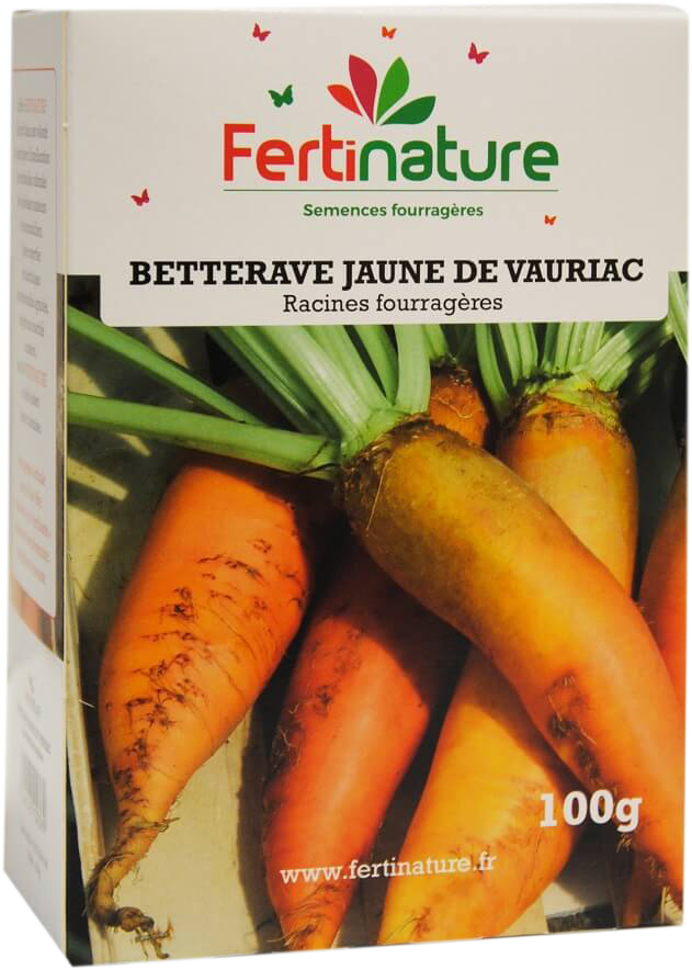 BETJAVA100