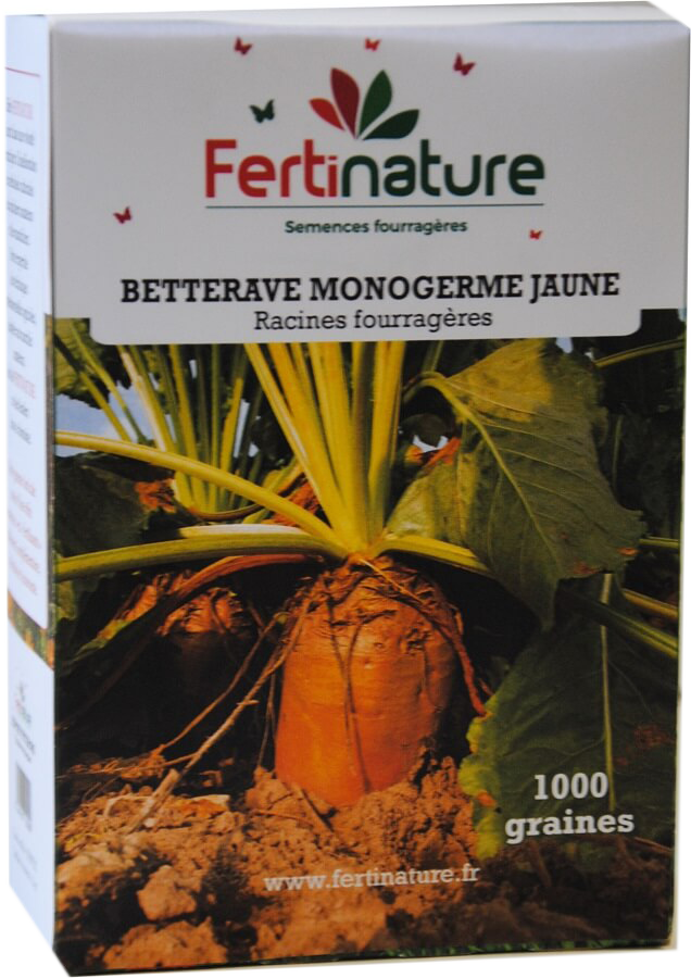 BETMONJAM