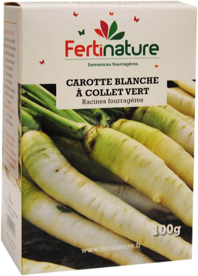 CARFOU100