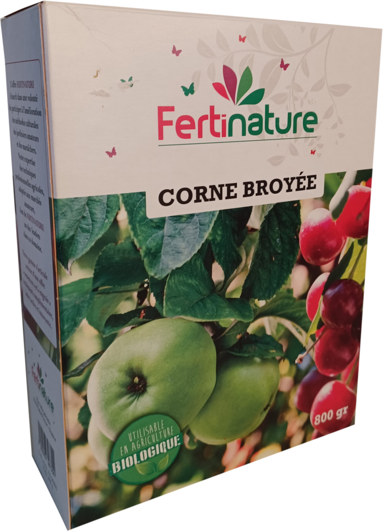 Corne Broyée