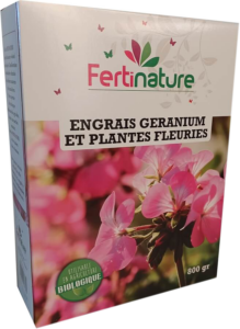 Géranium