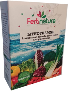 Lithothamne