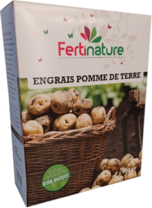 Pommes de Terre