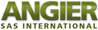 LOGO ANGIER