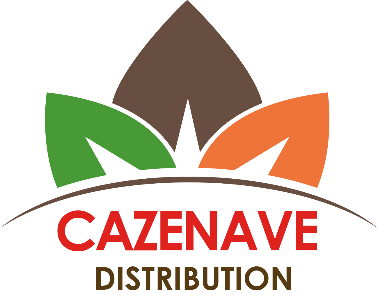 LOGO CAZENAVE 2022