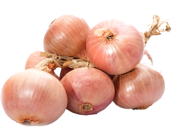 OIGRDROSCHR