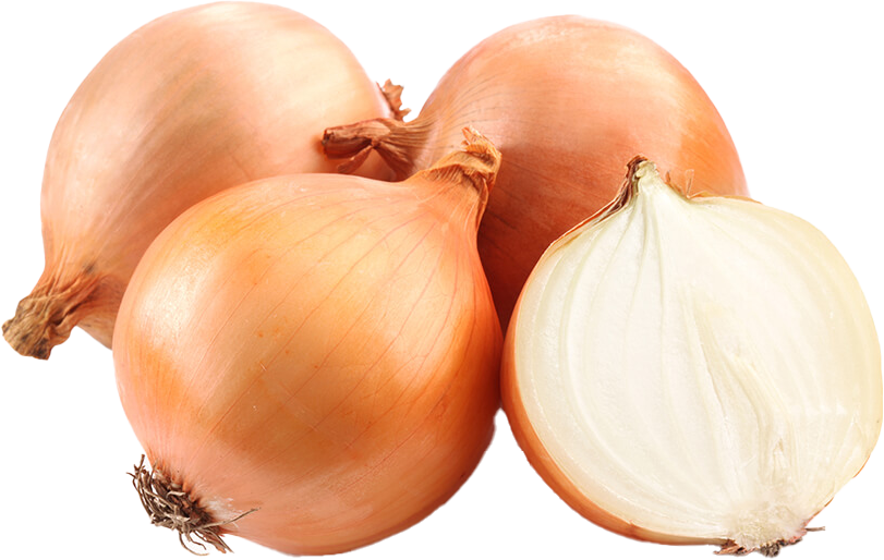 OIGSTU250