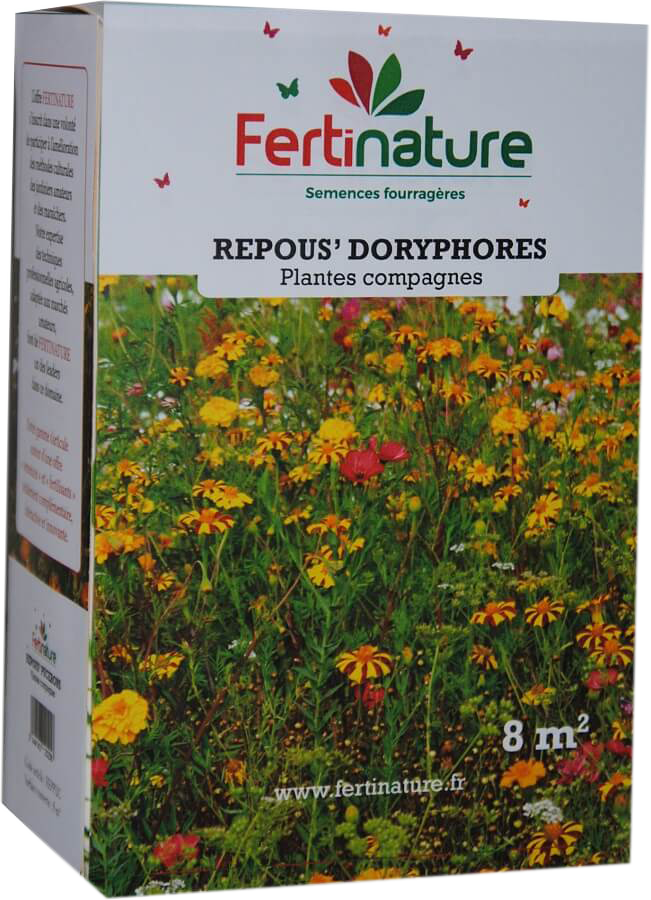 REPDOR
