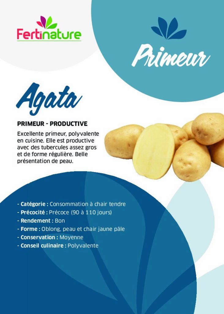 AGATA - Primeur