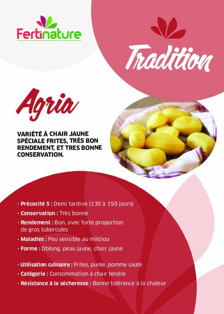 AGRIA - Tradition