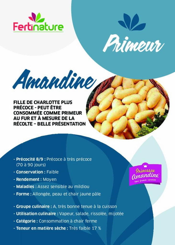 AMANDINE - Primeur