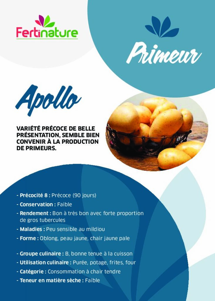 APOLLO - Primeur
