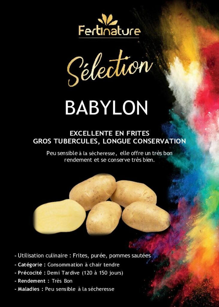 BABYLON - Sélection
