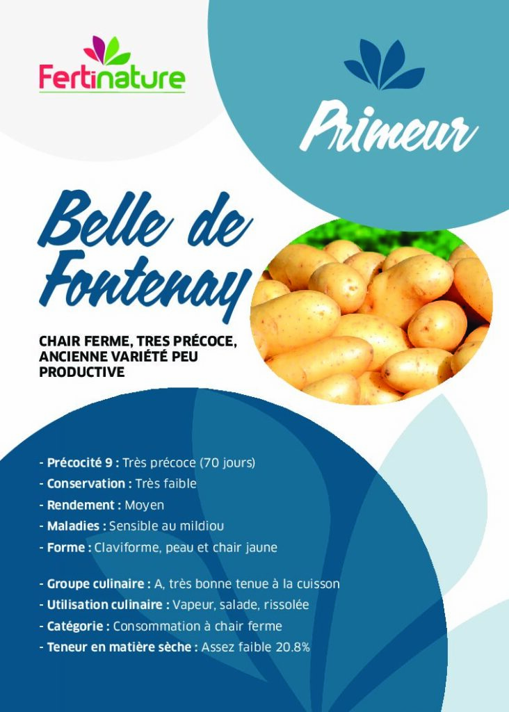 BELLE DE FONTENAY - Primeur