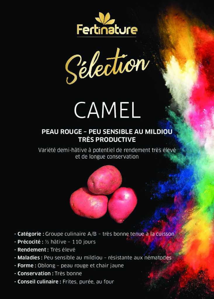 CAMEL - Sélection