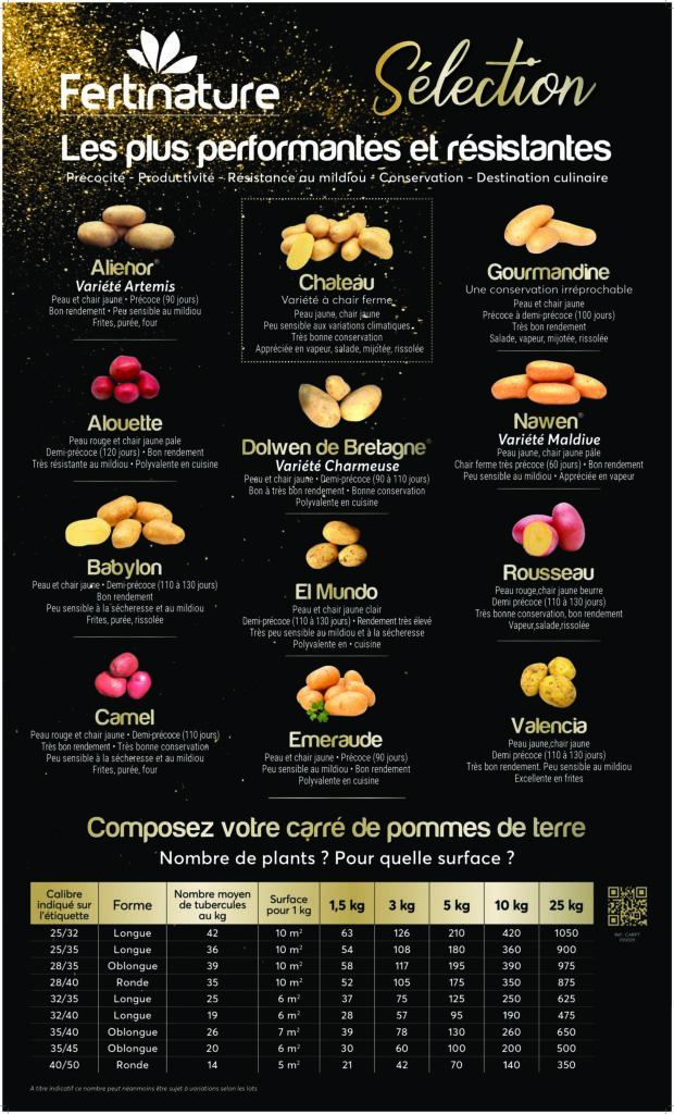 Carré de Pdt