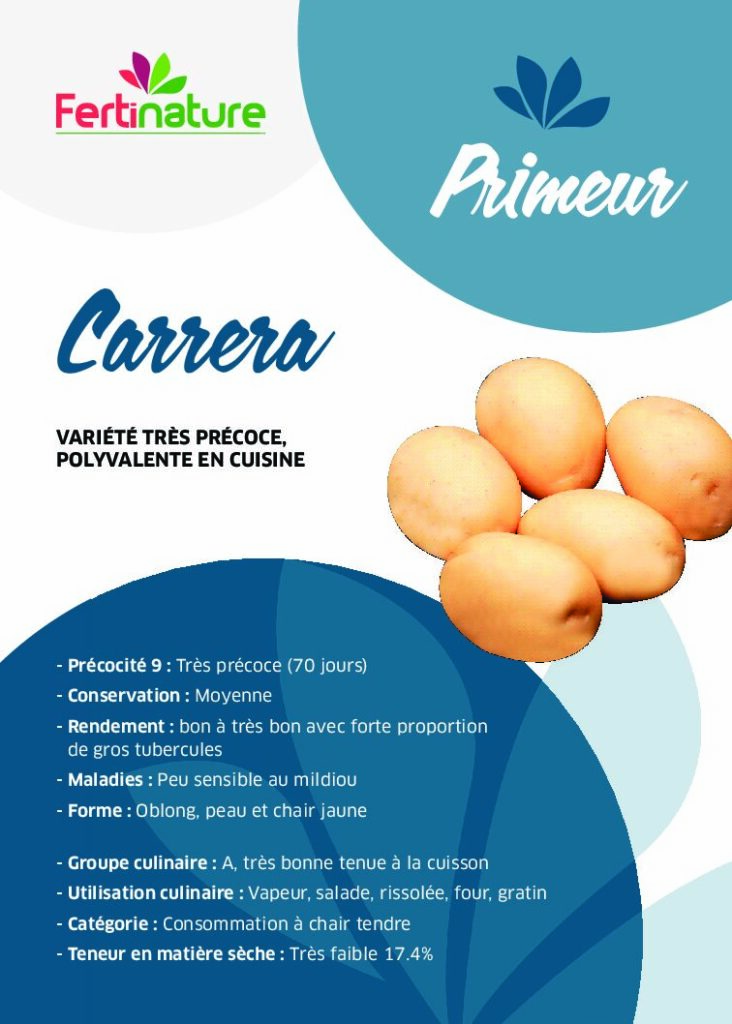 CARRERA - Primeur