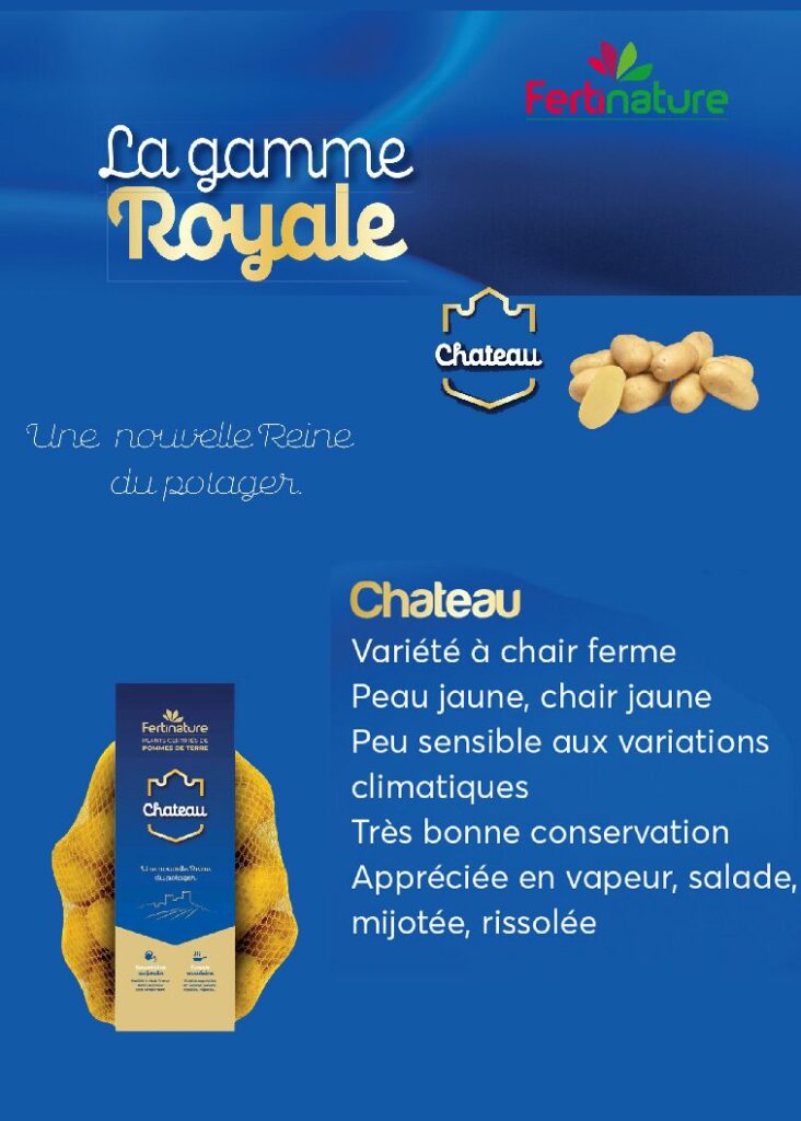 CHATEAU