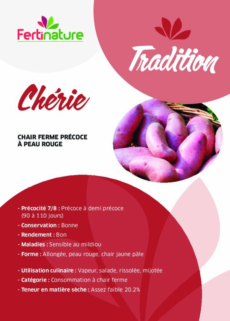 CHERIE - Tradition