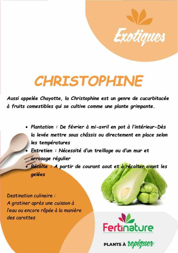 CHRISTOPHINE