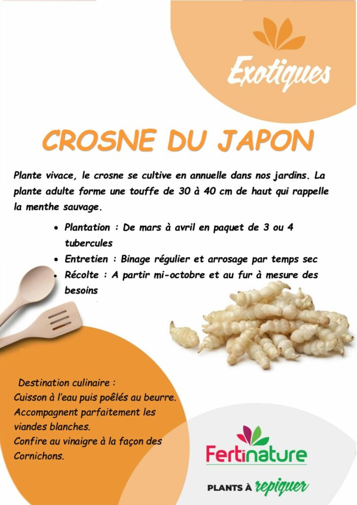 CROSNE