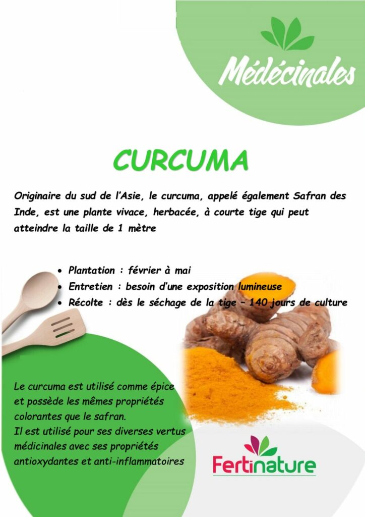 CURCUMA