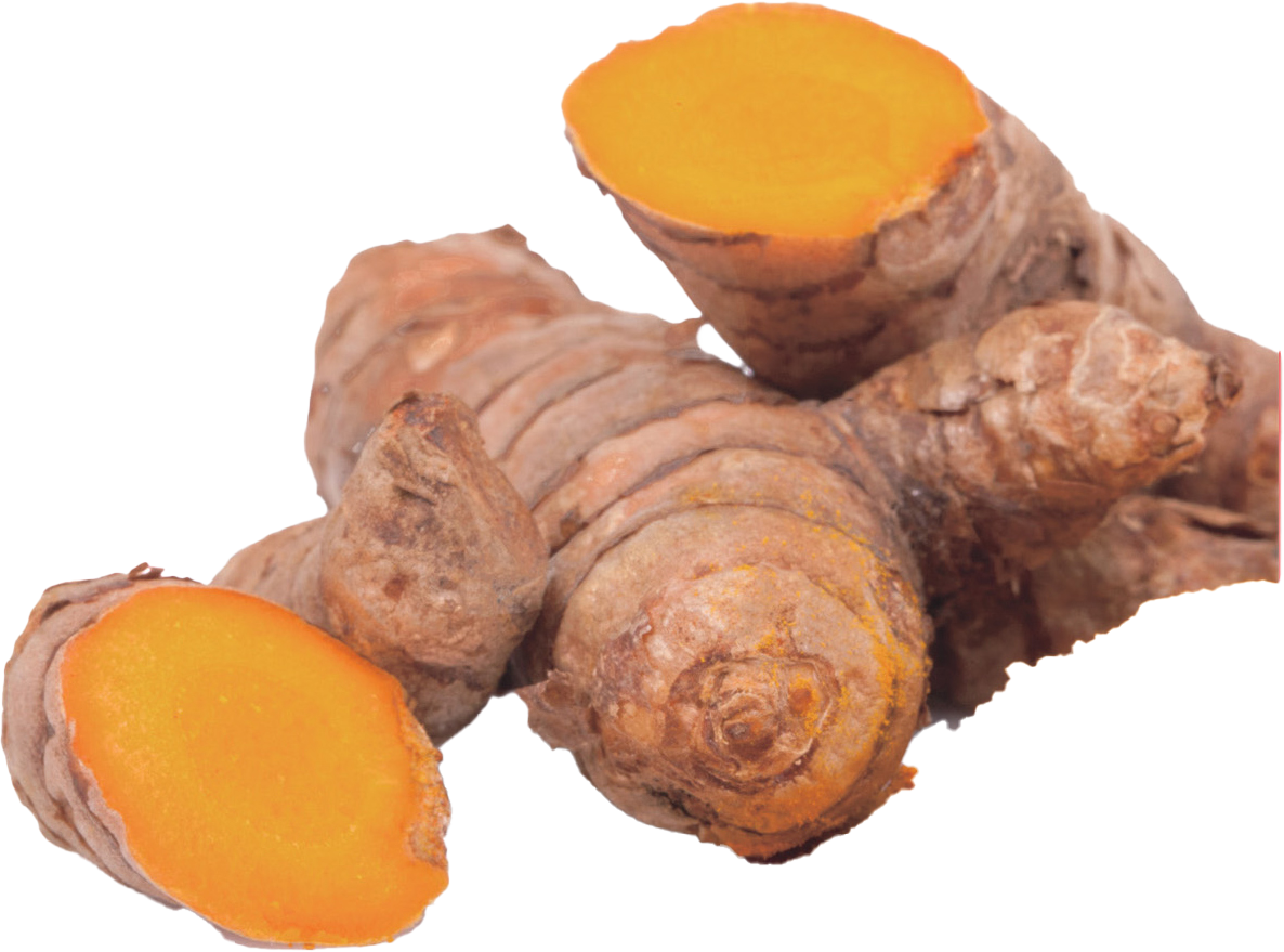 CURCUMA