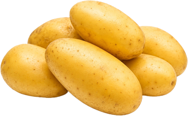 DELIKATESS