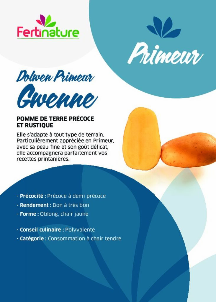 DOLWEN - Primeur