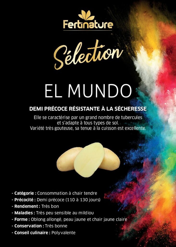 EL MUNDO - Sélection