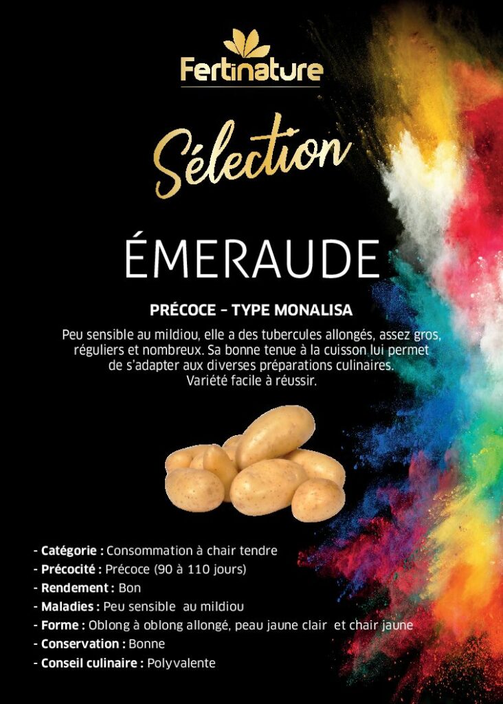 EMERAUDE - Sélection