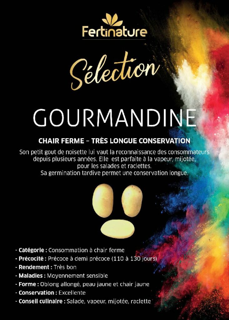 GOURMANDINE - Sélcetion