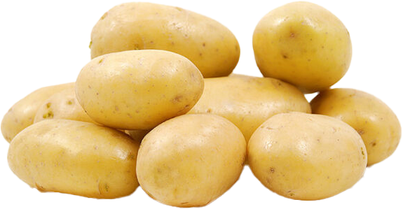 GOURMANDINE