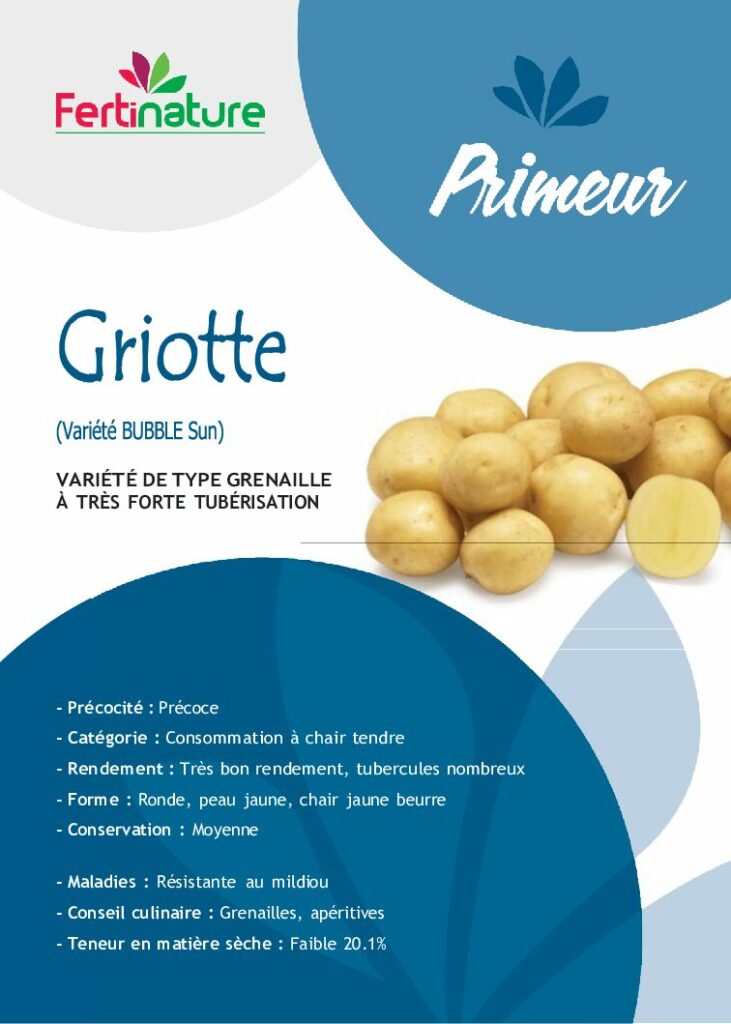 GRIOTTE - Primeur