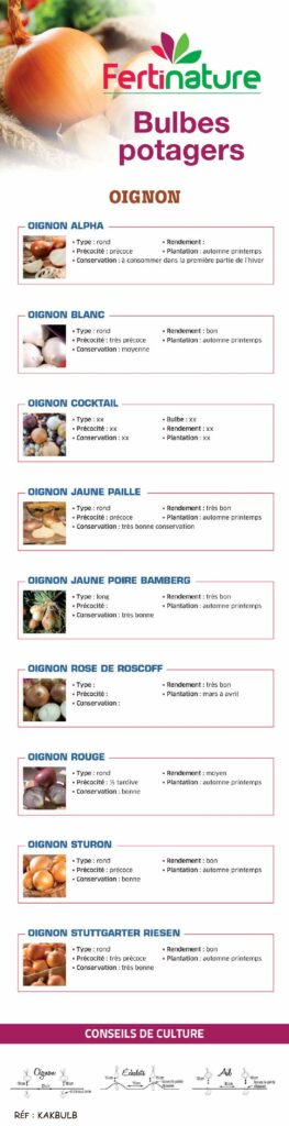 Kakemono Bulbes