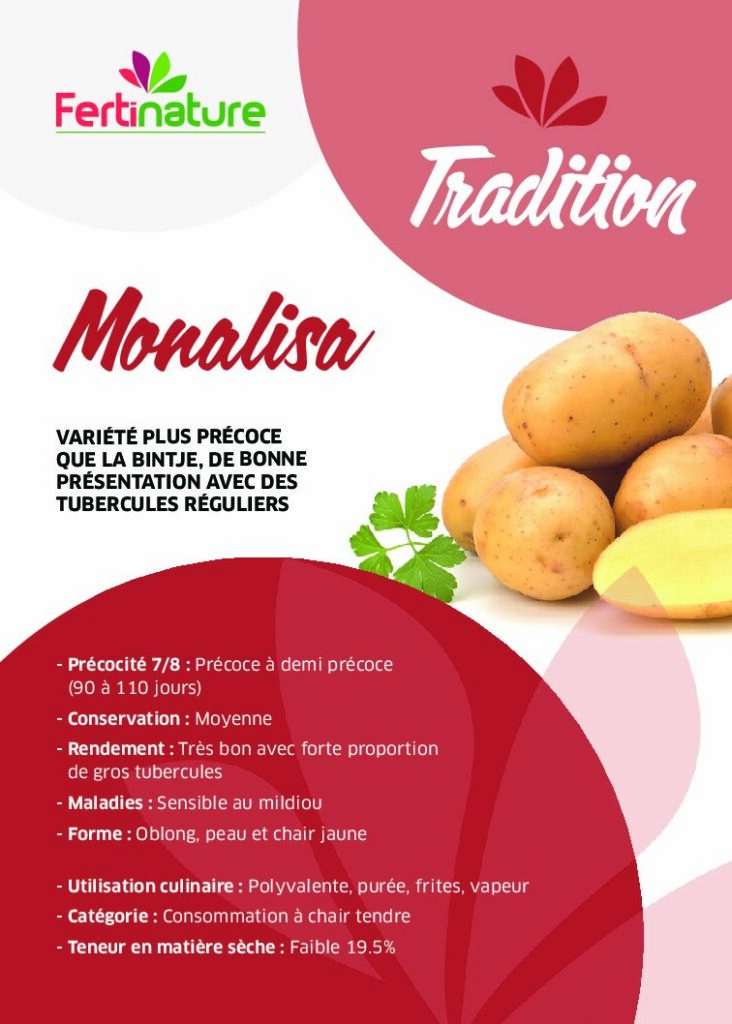 MONALISA - Tradition